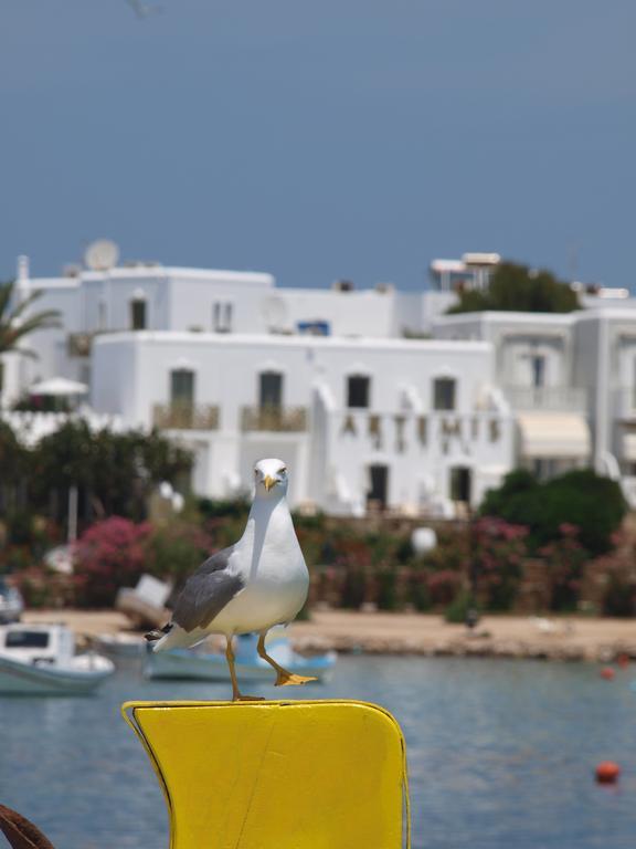 Artemis Hotel Antiparos Town Zewnętrze zdjęcie